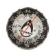 Swiv Compass